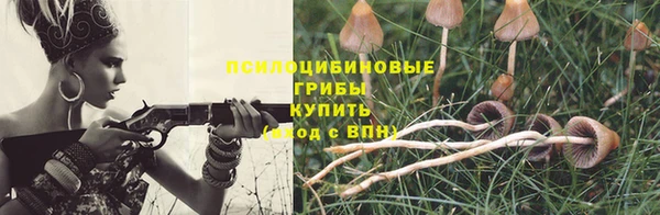 стаф Алексеевка