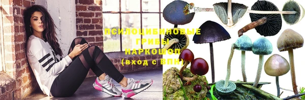 стаф Алексеевка